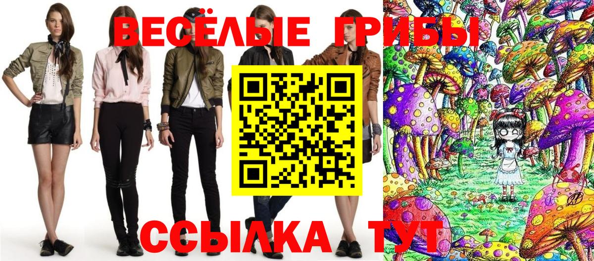 Псилоцибиновые грибы прущие грибы Ижевск